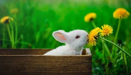 OnlyFans深度揭秘:猛料风波背后,主持人在酒店房间的角色异常令人意外